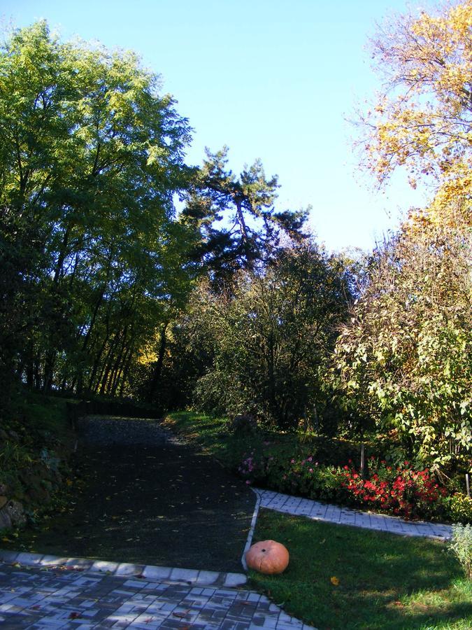 Ketbodonyi Apartments Zewnętrze zdjęcie